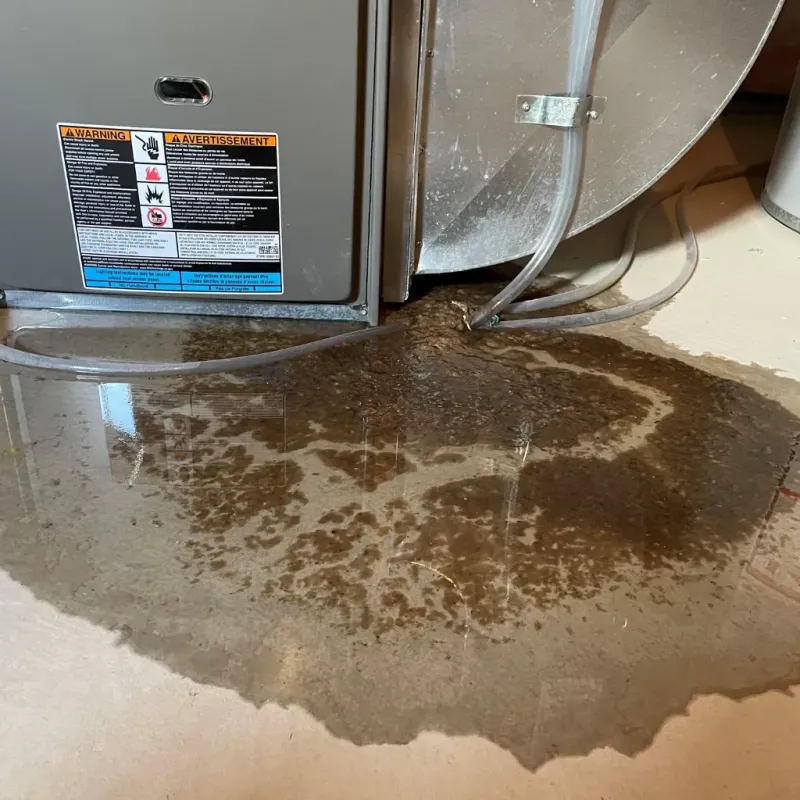 Appliance Leak Cleanup in West Bay Shore, NY